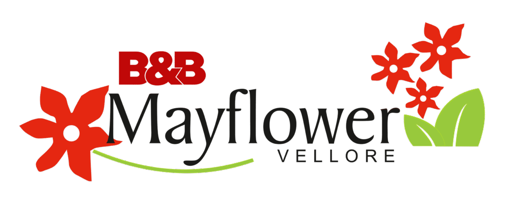Layout developers in Vellore, DTPC Approved layout developers in Vellore, B&B Properties, bbproperties, Villas in Vellore, developers and builders, best builders in vellore, property in vellore, Villas near CMC, new apartments in vellore, Properties in Vellore, residential property in vellore, Villas for sale in Vellore, cost of living in vellore, flat for sale in vellore, house for sale in vellore, mayflower heights, Villas in Ranipet, flats for sale in Vellore, Villas near Ranipet, golden winds floorplans, builders & developers, tulips acropolis, property for sale in vellore, apartment in vellore, golden winds floor plans, vellore's real estate market, residential beds for apartments manufacturers, is rera approval mandatory for plots in tamilnadu, residential beds for apartments manufacturer in india, builders and promoters, best builders in chennai for villas, list of builders in chennai with contact details pdf, residential beds for apartments manufacturer, park mist developers, flats for sale in Chennai, FLats in Ranipet, Flats in Vellore, Flats near CMC, Flats near VIT, houses in vellore, Vellore real estate blog, property insights Vellore, real estate market updates, B&B Properties news, Ranipet Real Estate, Ranipet Real Estate Blog, luxury villas Vellore, B&B Properties, DTCP approved plots Vellore, apartments Vellore, ongoing projects Vellore, new launches B&B Properties, current projects Vellore, available plots 2025, new apartments Vellore, villas in vellore for sale, gated community villas in vellore for rent, gated community villas in vellore for sale, gated community villas in vellore, luxury gated community villas in vellore, luxury villas in vellore, villas in vellore, apartments in vellore, apartments in vellore for sale, apartments in vellore for rent, apartments in vellore near vit, service apartments in vellore near cmc, service apartments in vellore near vit, best service apartments in vellore, gated community apartments in vellore, furnished apartments in vellore, apartments in gandhinagar vellore, apartments in katpadi vellore, rental apartments in katpadi vellore, apartments for rent in katpadi vellore, luxury apartments in vellore, luxury service apartments in vellore, apartments in gandhi nagar vellore, new apartments in vellore for sale, apartments for sale in gandhi nagar vellore, rental apartments in vellore, service apartments in sathuvachari vellore, service apartments in vellore, plots in vellore, plots in vellore for sale, plots for sale in vellore sathuvachari, plots for sale in vellore below 10 lakhs, plots in ariyur vellore, plots in abdullapuram vellore, plots for sale in alamelumangapuram vellore, plots for sale in anaicut vellore, dtcp approved plots in vellore, buy plots in vellore, low budget plots in vellore, low budget plots in vellore for sale, plots in vellore city, emi plots in vellore, plots in gandhinagar vellore, plots for sale in gandhinagar vellore, g square plots in vellore, plots in vellore katpadi, plots for sale in perumugai vellore, plots for sale in ratnagiri vellore, plots for sale in rangapuram vellore, residential plots in vellore, plots in sathuvachari vellore, plots for sale in sripuram vellore, plots for sale in thorapadi vellore, plots for sale in vallalar vellore, villa plots in vellore, buying plots in vellore, luxury villas Vellore