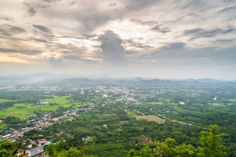 Vellore real estate